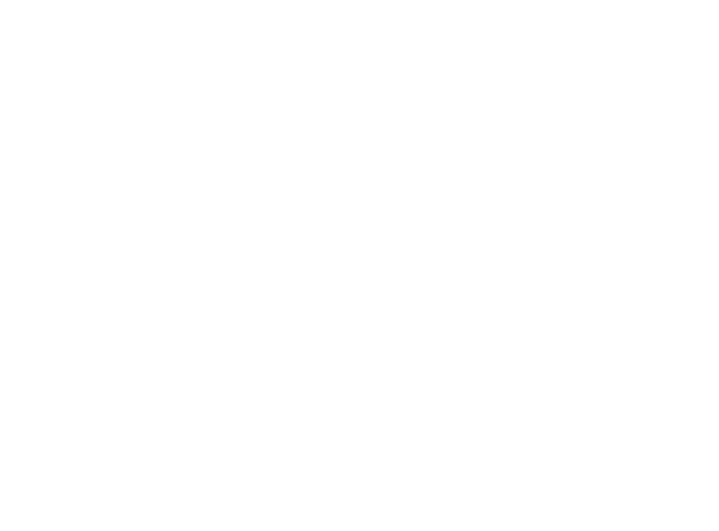 texto-2