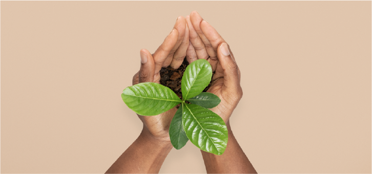 PRODUCTOS AGROECOLOGICOS